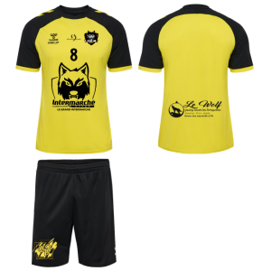 pack_joueur_vlhb_25_26
